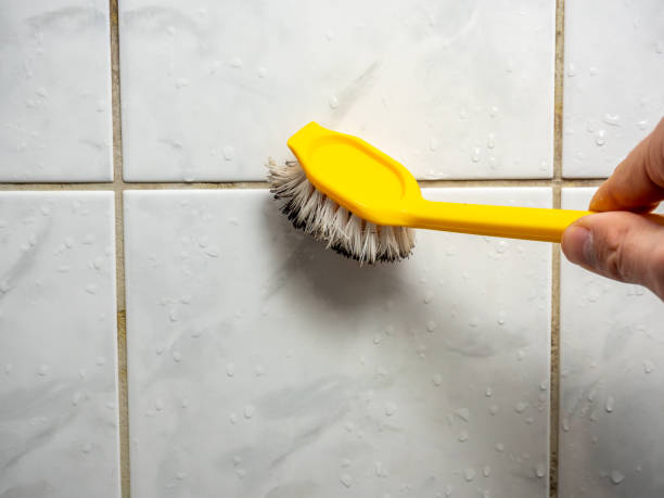 Best Residential Mold Removal  in Milford, UT