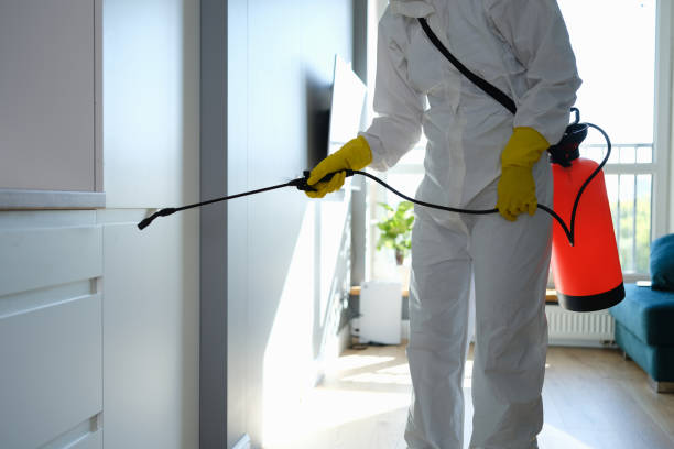 Crawl Space Mold Removal in Milford, UT