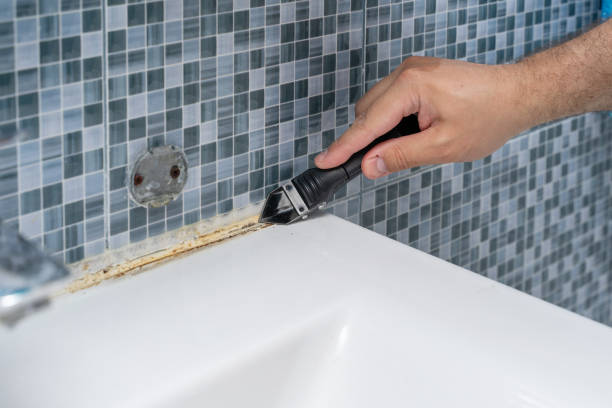Best Residential Mold Removal  in Milford, UT
